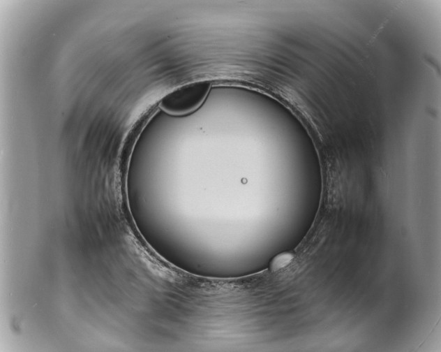 X0000100981072200807011438