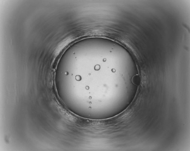 X0000100981075200807011438