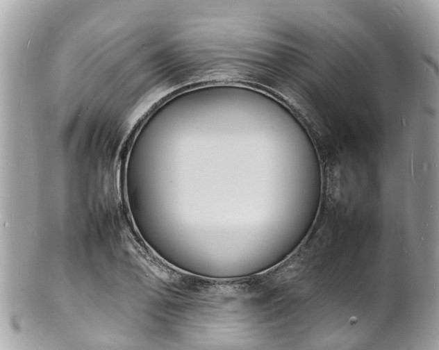 X0000100981078200807011438