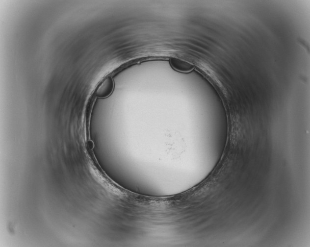 X0000100981080200807011438