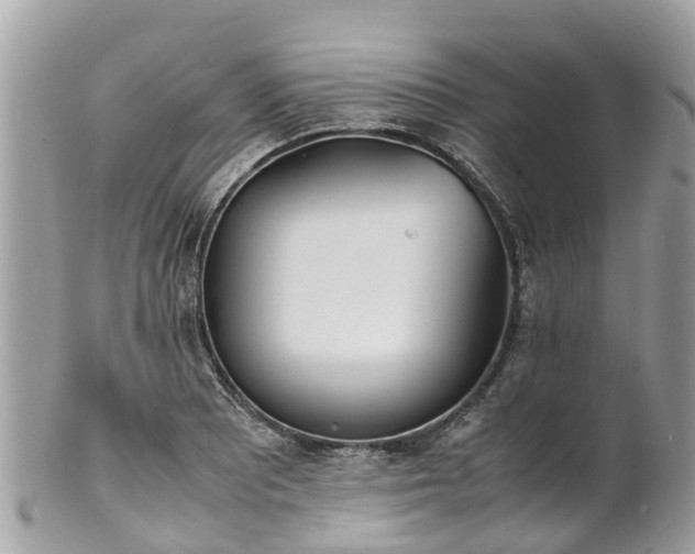 X0000100981081200807011438