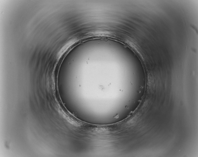 X0000100981082200807011438