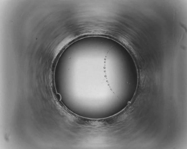 X0000100981085200807011438