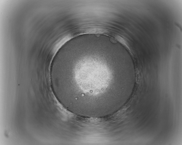 X0000100981087200807011438