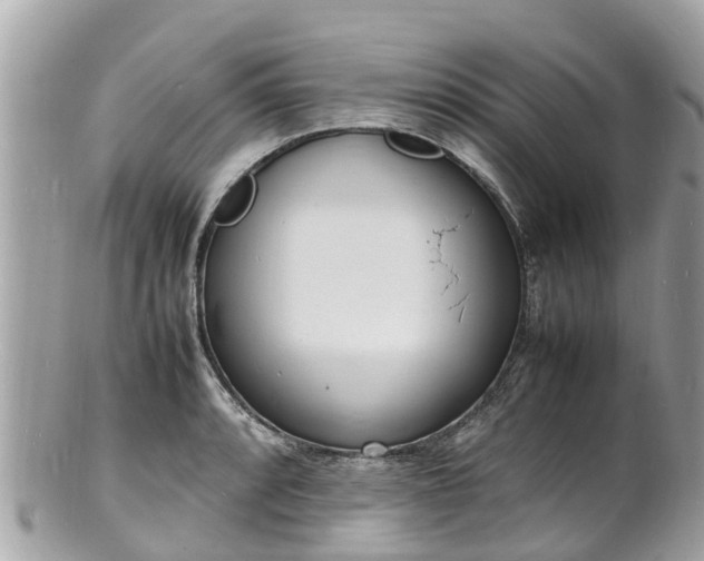 X0000100981088200807011438