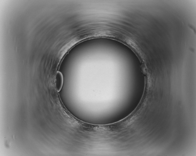 X0000100981089200807011438