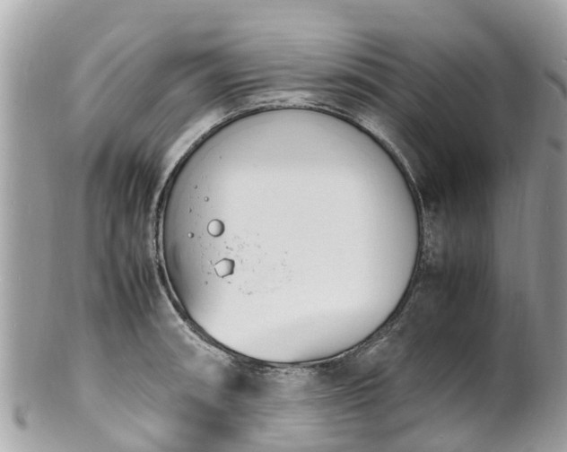 X0000100981090200807011438