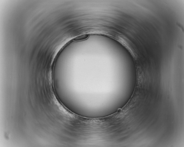 X0000100981092200807011438