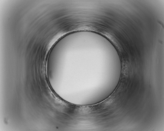 X0000100981094200807011438