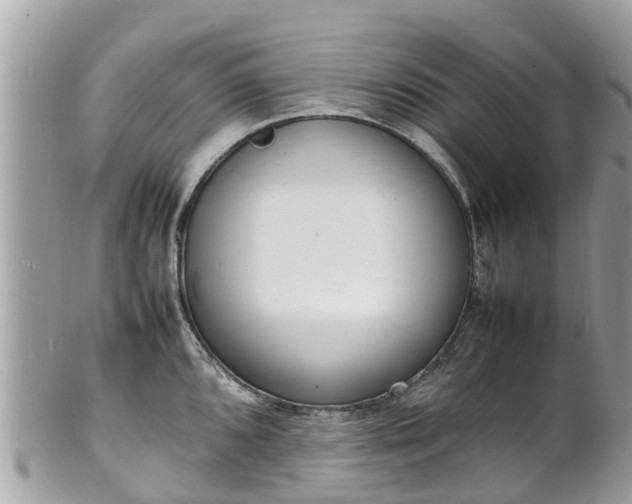 X0000100981096200807011438