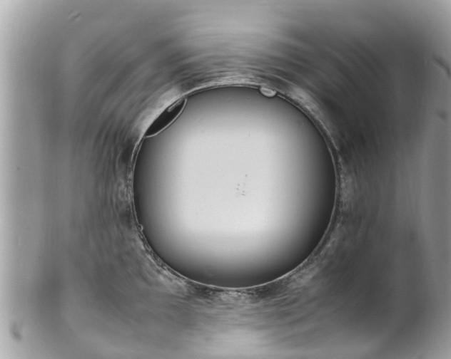 X0000100981097200807011438