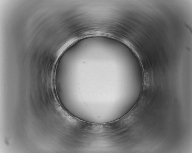 X0000100981098200807011438