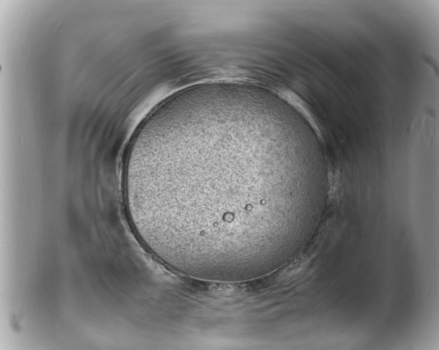 X0000100981099200807011438