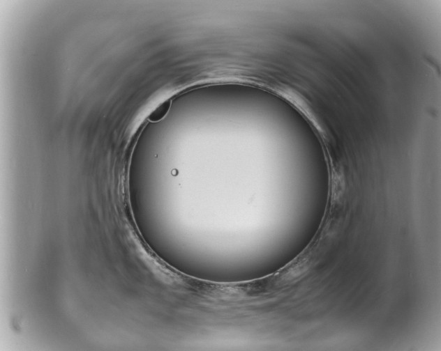 X0000100981101200807011438