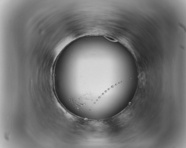 X0000100981103200807011438