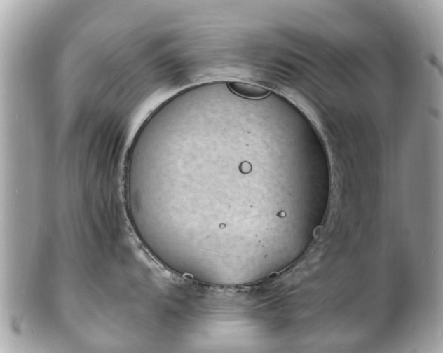 X0000100981104200807011438