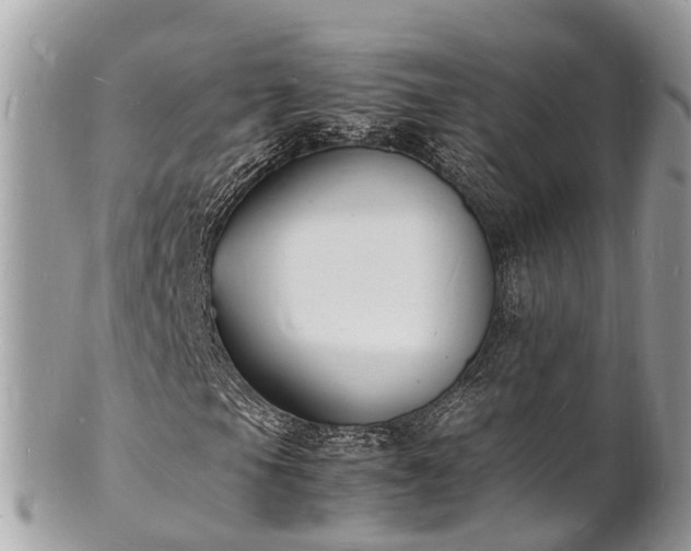 X0000100981105200807011437