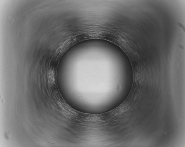 X0000100981106200807011437