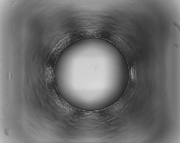 X0000100981107200807011437