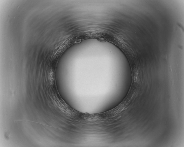 X0000100981108200807011437