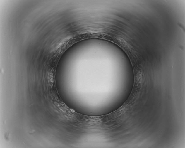 X0000100981110200807011437