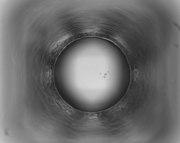 X0000100981111200807011437