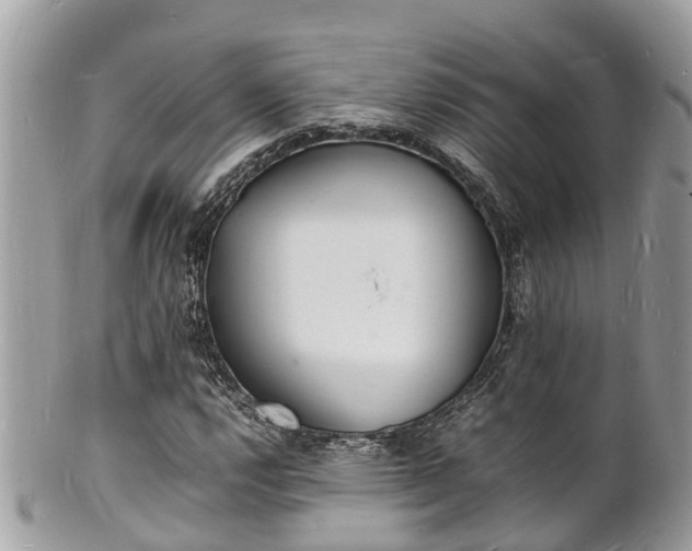 X0000100981112200807011437