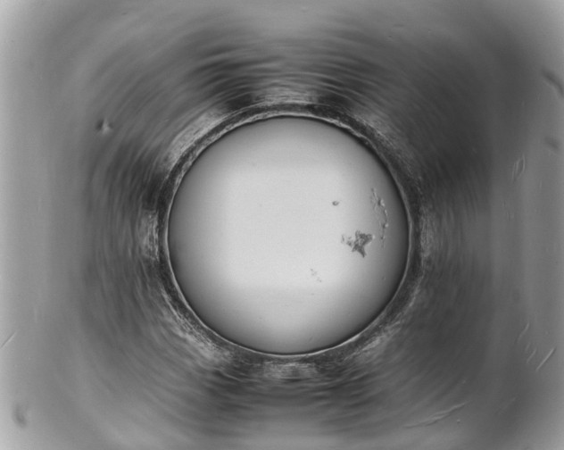 X0000100981113200807011437