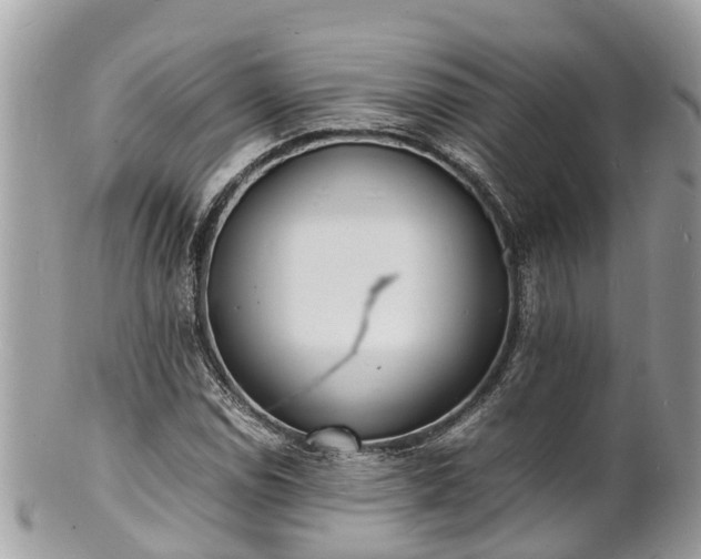 X0000100981114200807011437