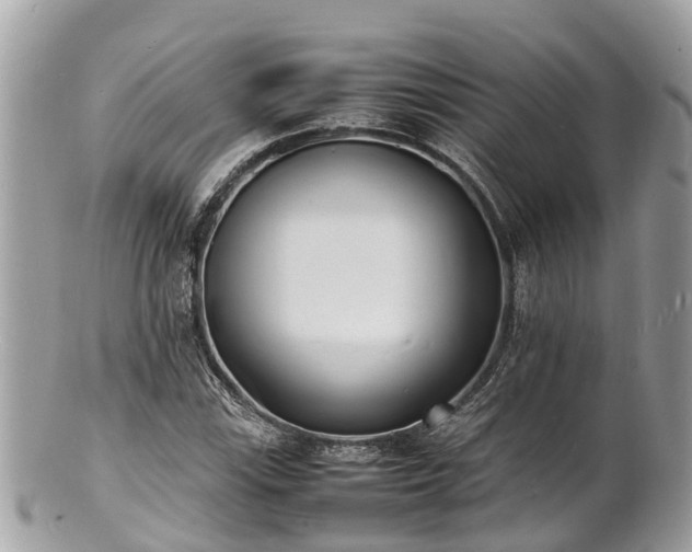 X0000100981115200807011437