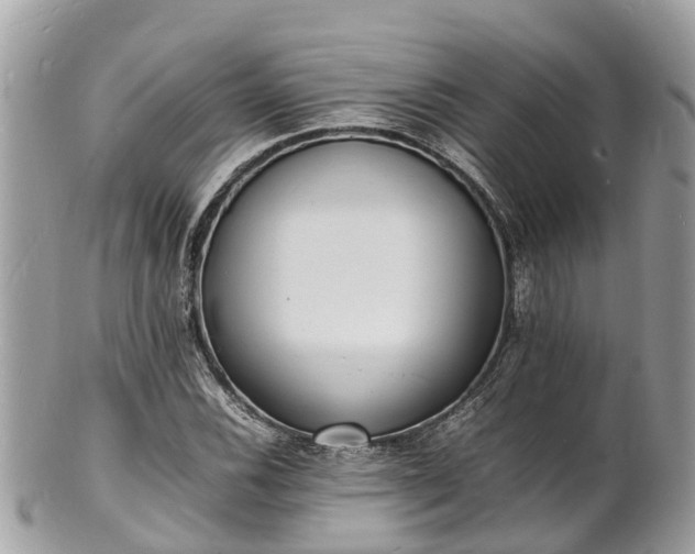 X0000100981116200807011437