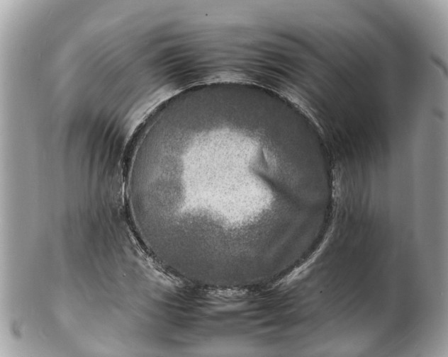 X0000100981117200807011437