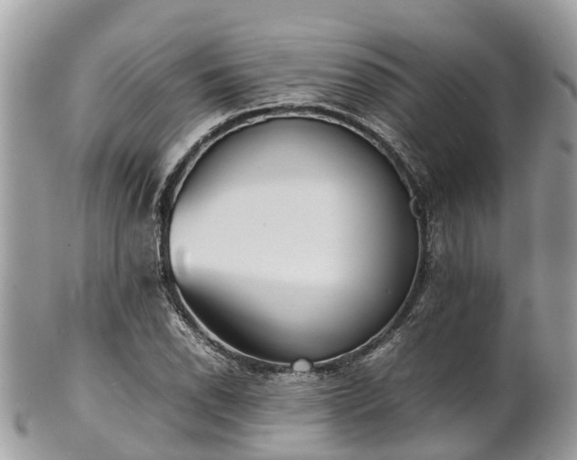 X0000100981118200807011437