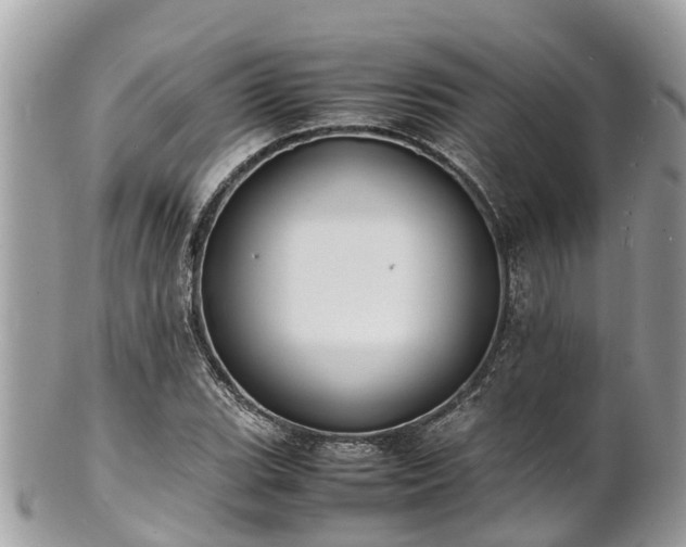 X0000100981119200807011437