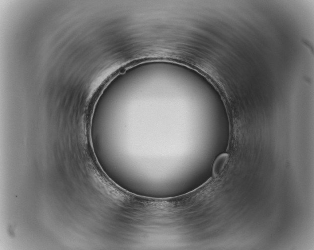 X0000100981120200807011437