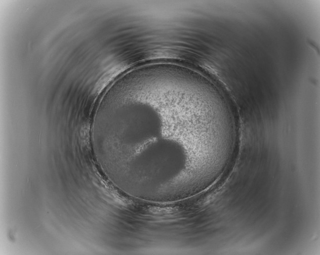 X0000100981121200807011437