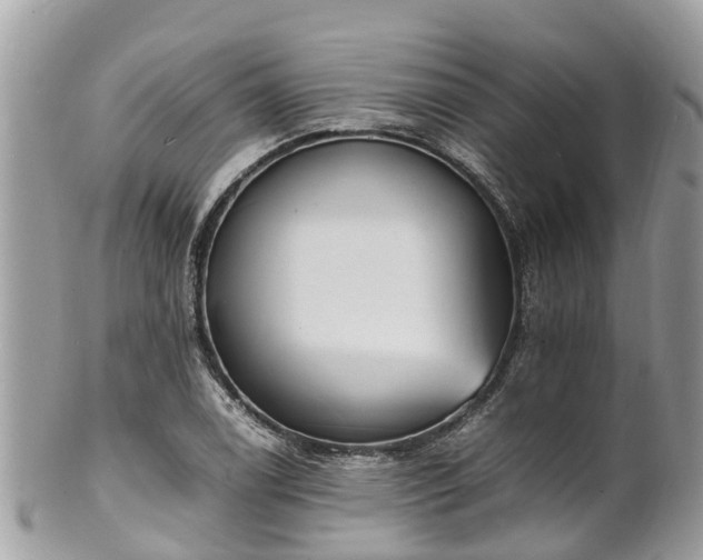 X0000100981122200807011437