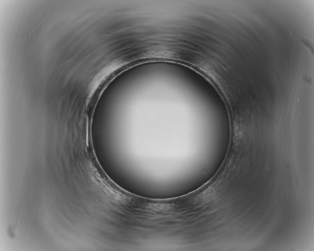 X0000100981123200807011437