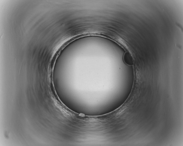 X0000100981124200807011437