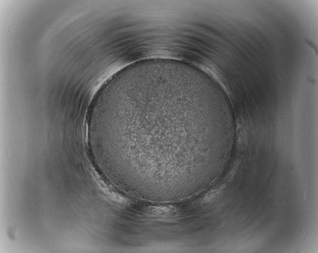 X0000100981125200807011437