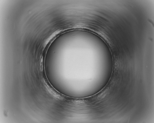 X0000100981126200807011437