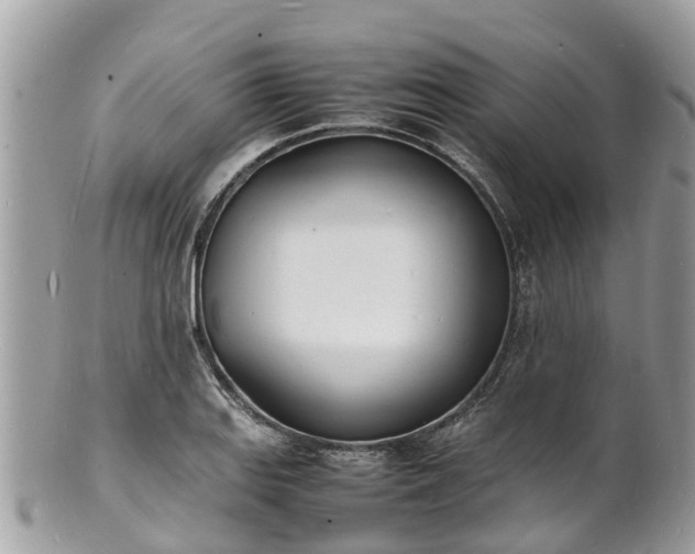 X0000100981127200807011437