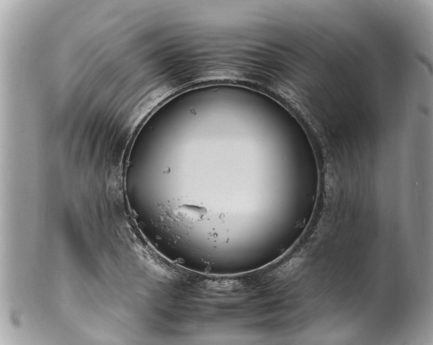 X0000100981129200807011437