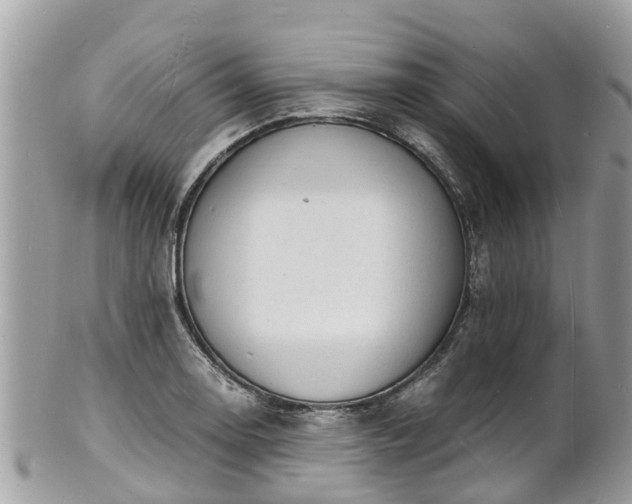 X0000100981130200807011437