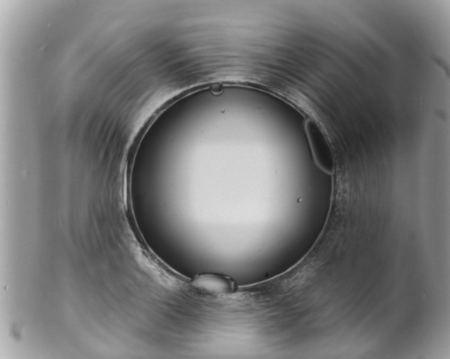 X0000100981132200807011437