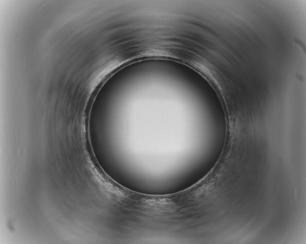 X0000100981133200807011437