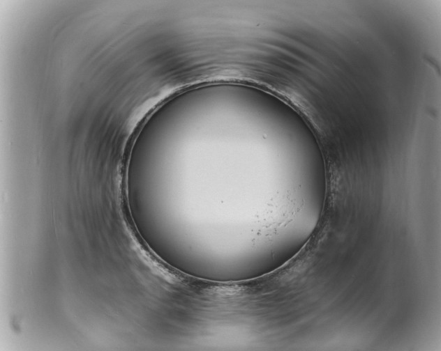 X0000100981134200807011437