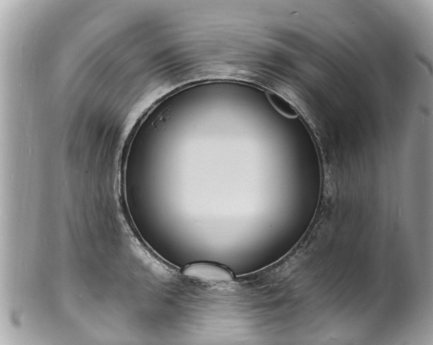 X0000100981136200807011437