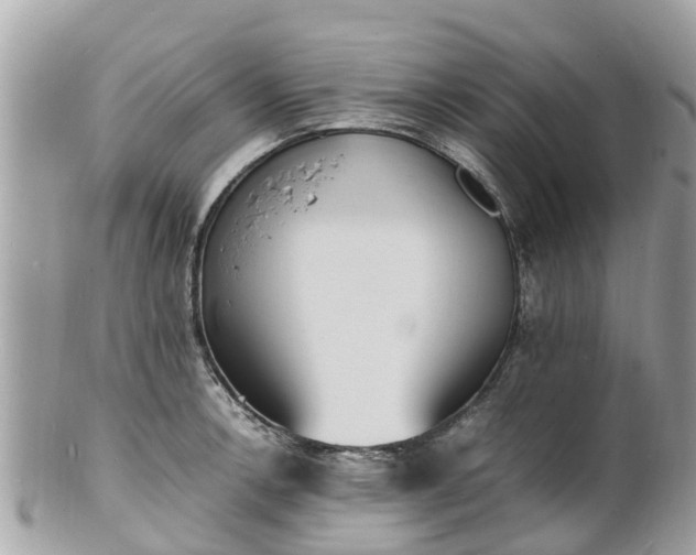 X0000100981138200807011437