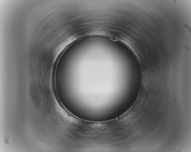 X0000100981139200807011437